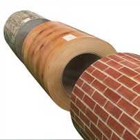 PPGI Coil Steel Galvanized Prepainted