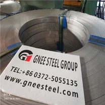 Gegelung UNS S31000